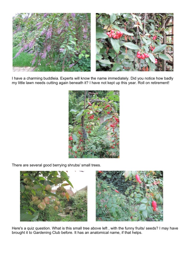 Gardening journal Sept 2014-pg 2