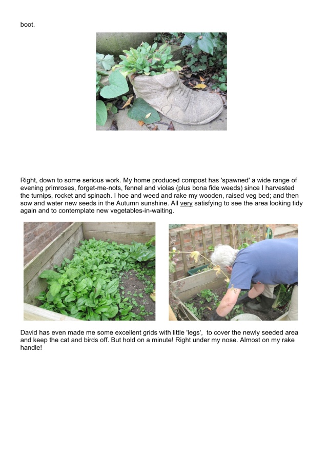 Gardening journal Sept 2014-pg 4